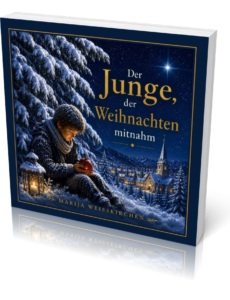 Buchwerbung: Der Junge, der Weihnachten mitnahm