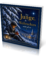 Buchwerbung: Der Junge, der Weihnachten mitnahm